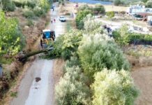 Άμεση κινητοποίηση του Δήμου Αγρινίου μετά το καλοκαιρινό μπουρίνι της Παρασκευής (φωτο)
