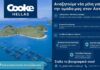 Νέες ευκαιρίες εργασίας στον Αστακό από την Cooke Hellas